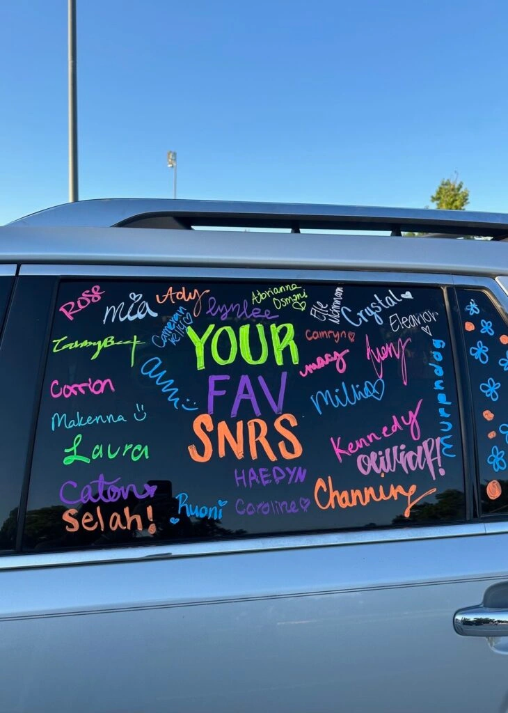 senior car 730x1024 1