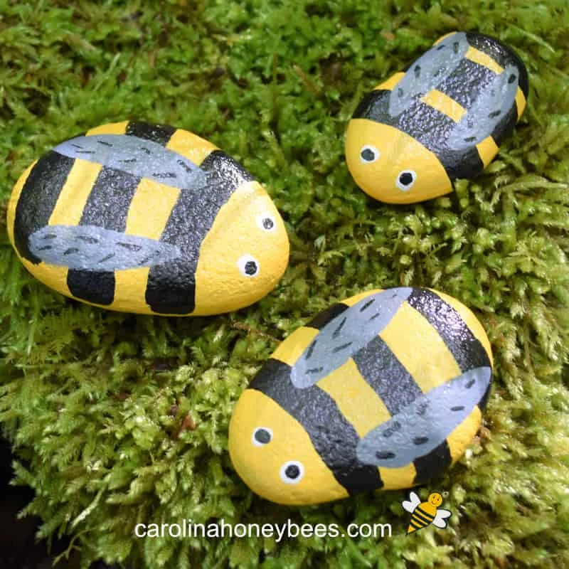 20 Easy Bee Crafts for Kids That Are Fun to Make 5 4 DIY Bee Rock Pets