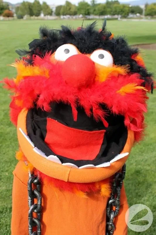 22 Fantastic Feather Crafts 8 7. Muppet Costume