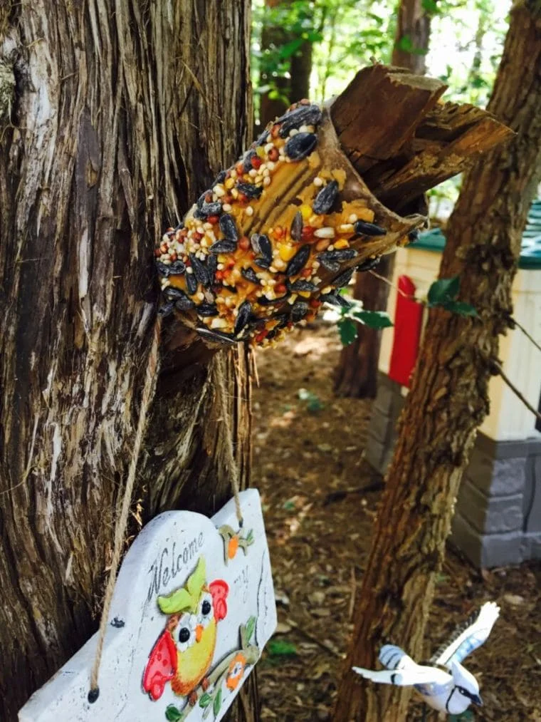 20 Toilet Paper Roll Crafts That Are Fun 11 10 bird feeder 2 768x1024 1