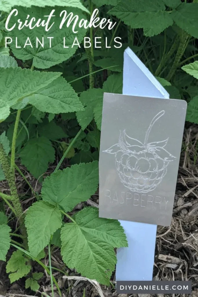 21 Fun Crafts to Do When Bored 11 10. Plant Markers 1