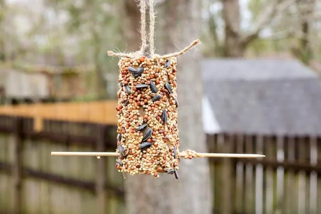20 Toilet Paper Roll Crafts That Are Fun 21 20 Cardboard Paper Roll Bird Feeder Sample 3 1