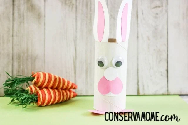 20 Toilet Paper Roll Crafts That Are Fun 8 7 Cardboard Roll Easter Bunny 6 640x427 1